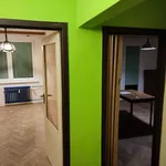 Rent 1 bedroom apartment of 46 m² in Brno