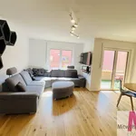 Miete 4 Schlafzimmer wohnung von 135 m² in Nuremberg