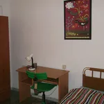 Rent a room in Murcia']