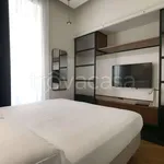 Rent 1 bedroom apartment of 35 m² in Roma