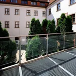 Rent 1 bedroom apartment of 35 m² in Brno