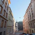 Rent 1 bedroom apartment of 45 m² in Prague