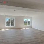 Pronajměte si 3 ložnic/e byt o rozloze 118 m² v Brno