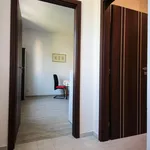 Rent 1 bedroom apartment of 50 m² in Prague