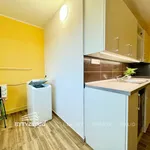 Rent 1 bedroom apartment of 38 m² in Plzeň