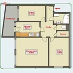 Rent 4 bedroom apartment of 75 m² in Hradec Králové