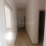 Rent 4 bedroom apartment of 85 m² in Bologna