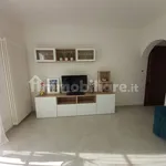 3-room flat good condition, first floor, Ripa Pozzi Querceta Ponterosso, Seravezza