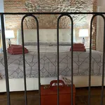 Rent 1 bedroom apartment of 60 m² in Bologna