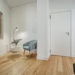 Rent 1 bedroom apartment in Porto