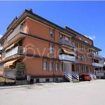 Rent 3 bedroom apartment of 75 m² in Belluno