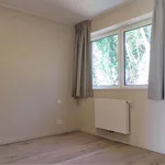 Rent 3 bedroom apartment of 150 m² in Uccle - Ukkel