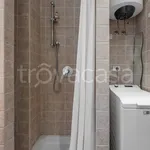 Rent 1 bedroom apartment of 55 m² in Milano