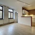 Appartement de 45 m² avec 1 chambre(s) en location à Namur