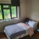 Rent 3 bedroom house in South West England