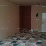 Rent 1 bedroom apartment of 25 m² in Pécs