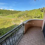 3-room flat via Caltanissetta 14, Montalto Uffugo