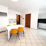 Rent 2 bedroom apartment of 50 m² in Lendinara