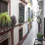 Rent 3 bedroom apartment in Seville