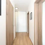 Rent 2 bedroom apartment of 53 m² in Prague