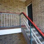 Rent 3 bedroom apartment of 6 m² in Maastricht