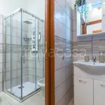 Rent 2 bedroom apartment of 80 m² in Torino