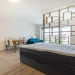 Rent 1 bedroom apartment in Plzeň