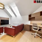 Rent 2 bedroom apartment of 59 m² in Brno