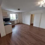 Appartement de 121 m² avec 5 chambre(s) en location à OLIVET