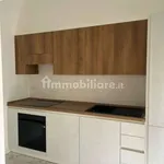 Rent 3 bedroom apartment of 97 m² in Turin