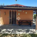 Rent 3 bedroom house of 60 m² in Latina