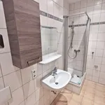 Rent 1 bedroom apartment of 34 m² in Chemnitz