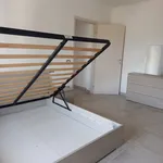 Rent 1 bedroom apartment of 100 m² in Colorno