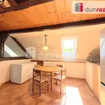 Rent 1 bedroom house of 676 m² in Brloh