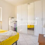 Rent 2 bedroom apartment of 35 m² in Roma