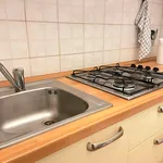 Rent 3 bedroom apartment in Bologna