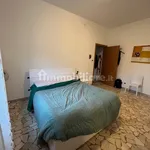 Rent 1 bedroom apartment of 25 m² in Bologna