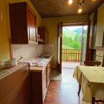 Rent 1 bedroom apartment of 42 m² in bardonecchia