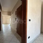 Rent 3 bedroom apartment of 70 m² in Taranto