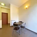 Rent 2 bedroom apartment of 50 m² in Turin