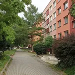 Rent 1 bedroom apartment of 39 m² in Ostrava