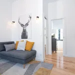 Rent 1 bedroom apartment in Lisbon