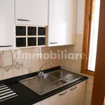 Rent 2 bedroom apartment of 50 m² in Pisa