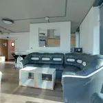 Rent 1 bedroom flat in Sheffield