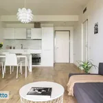 Affitto 2 camera casa di 60 m² in Milan