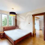 Rent 1 bedroom apartment of 36 m² in Pilsen