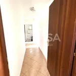 Rent 2 bedroom apartment of 55 m² in Velletri