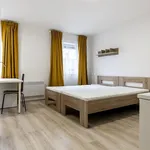 Rent 1 bedroom apartment in Brno