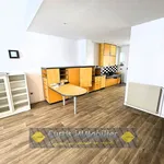 Rent 2 bedroom apartment of 52 m² in location appartement f2 firminy