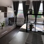 Rent 2 bedroom apartment of 90 m² in Turin